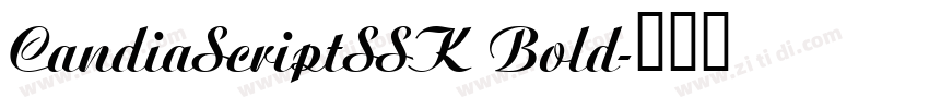 CandiaScriptSSK Bold字体转换